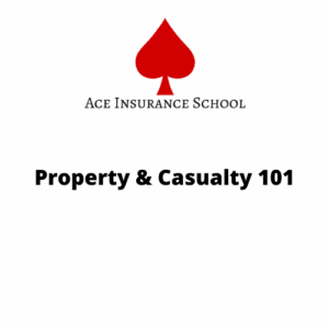 Property and Casualty 101 Online Only With Books
